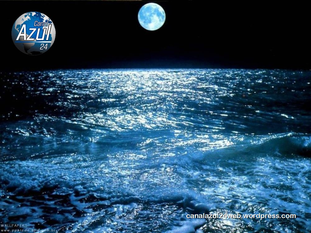 canalazul24's tweet photo. Tenemos el #MapaGlobal de #PatronesDeVientos 💨 y #Mareas 🌊 en #TiempoReal → https://t.co/C8lf0qU5u6 https://t.co/SM1e2vMSQV