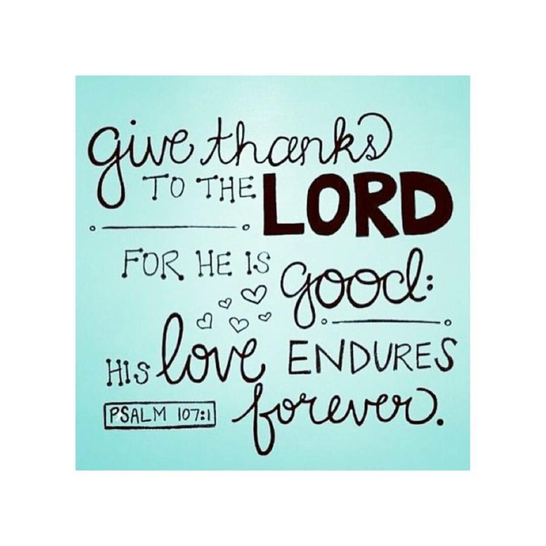 💙⭐ Give thanks to God for all he provides for you! ⭐💙