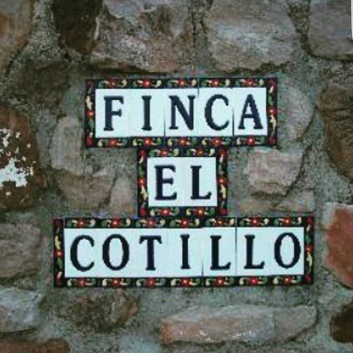 Tentadero hoy en El Cotillo donde pude disfrutar de una gran becerra #Sueños #Seguimos #Nodejesdesoñar #Tentadero #ElCotillo #Temporada2017