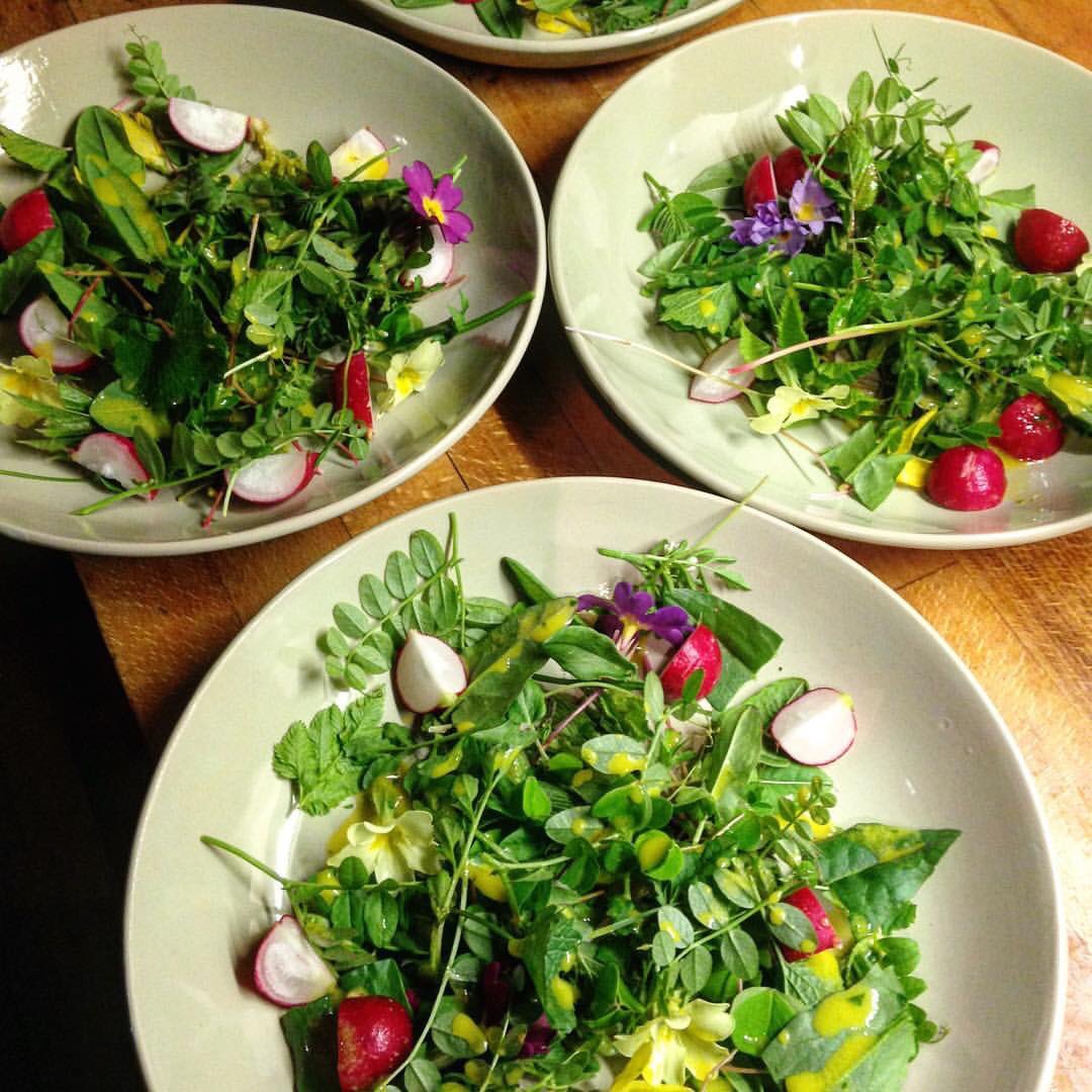 thebootlegbelly's tweet photo. Sunny Spring Sunday = foraged salad inspired tea @eduliswildfood in prep for May wild&amp;wall pop-up @LeedsIndieFood #leeds #foodie https://t.co/T6rS1viORZ