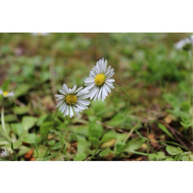 Mohdrashid9#Oman (@mohdras35291785) on Twitter photo 