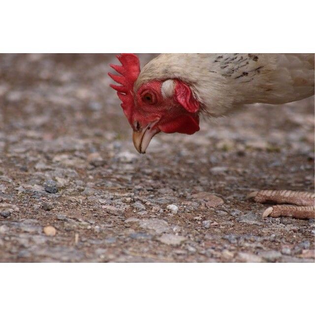 Mohdrashid9#Oman (@mohdras35291785) on Twitter photo 