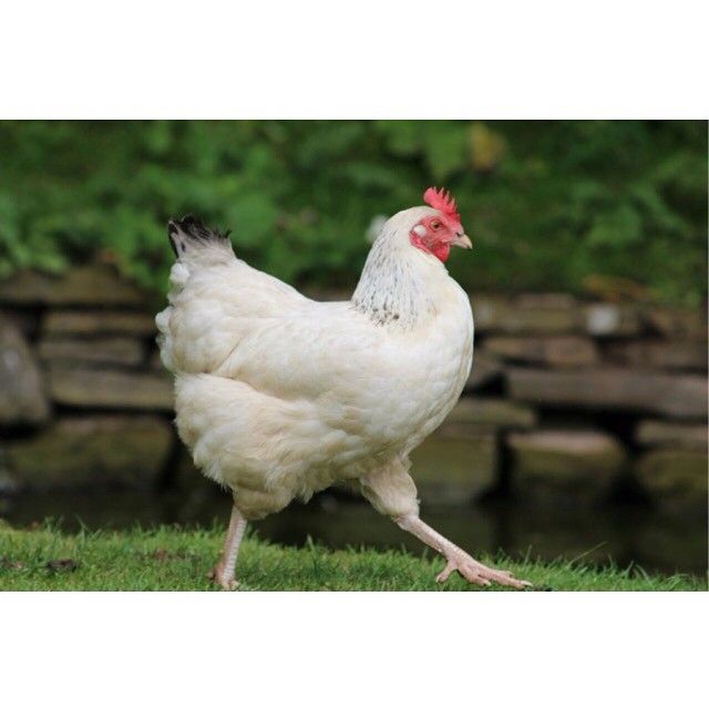 Mohdrashid9#Oman (@mohdras35291785) on Twitter photo 