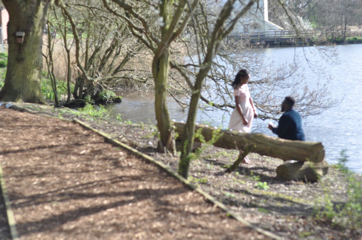 The Shepherds Hide tweet media