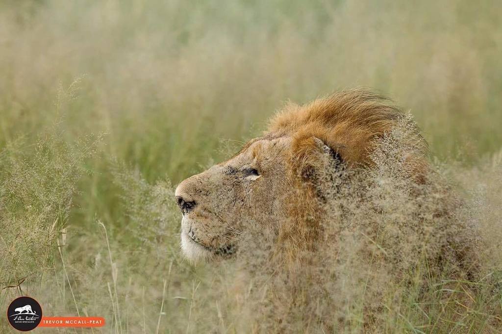 Africa@CloseQuarters tweet media