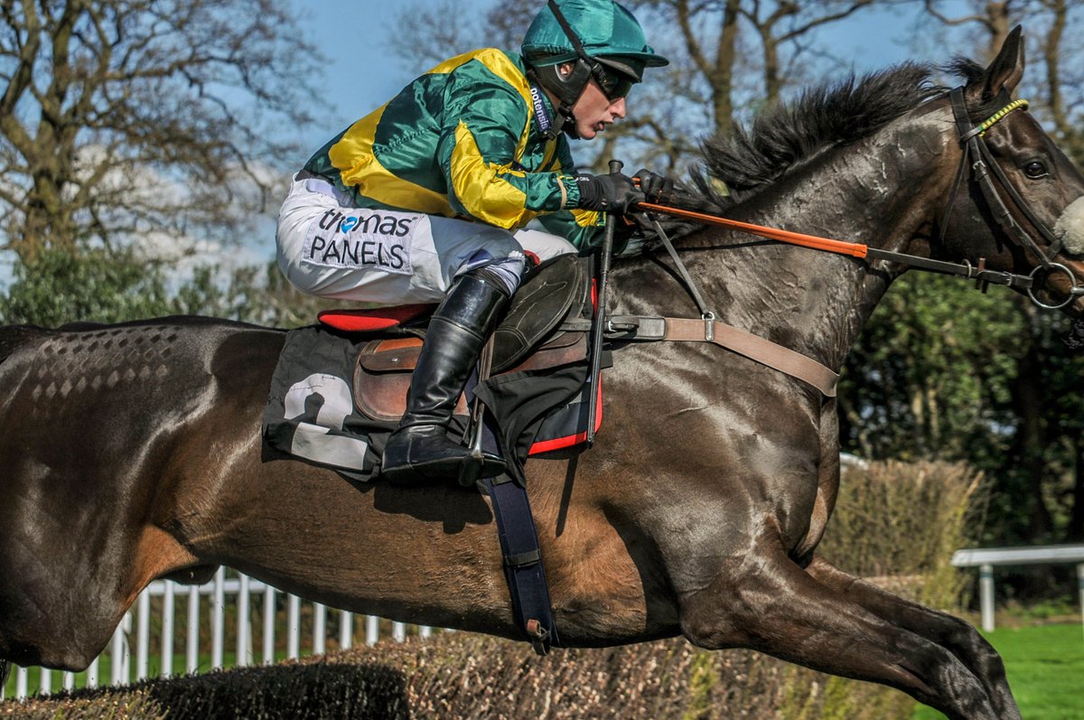 mjyharris's tweet photo. PRESENT MAN on the way to winning at @ascot today.
@Jack_Sherwood @PFNicholls https://t.co/JgPKOIV84t