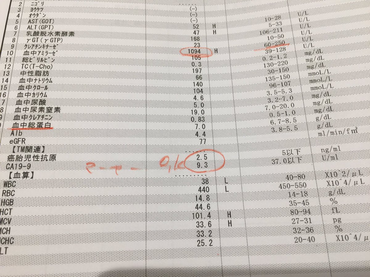 長谷川16t 國友 伸彌 手術後1年の検診 Ctと血液検査共に問題無しでした ただ主治医が開口一番に昨日トレーニングしたでしょうと クレアチンキナーゼの数値が1000越えの異常に高い数値 どうやら筋トレすると上がるらしい ちゃんと数字に現れるみたいだが 長谷川16t 國友 伸彌 手術後1年の検診 Ctと血液検査共に問題無しでした ただ主治医が開口一番に昨日トレーニングしたでしょうと クレアチンキナーゼの数値が1000越えの異常に高い数値 どうやら筋トレすると上がるらしい ちゃんと数字に現れるみたいだが