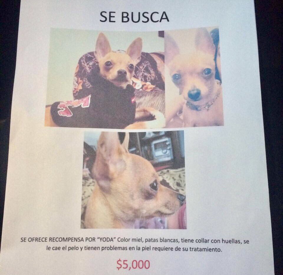 angie_garcia's tweet photo. Hola @SN_Chimalhuacan ¿podrían por favor darle RT? https://t.co/woPZA0Izgq