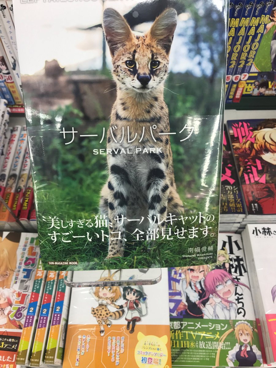 サーバルキャットの写真集が発売→紙の本は各所で即完売（電子