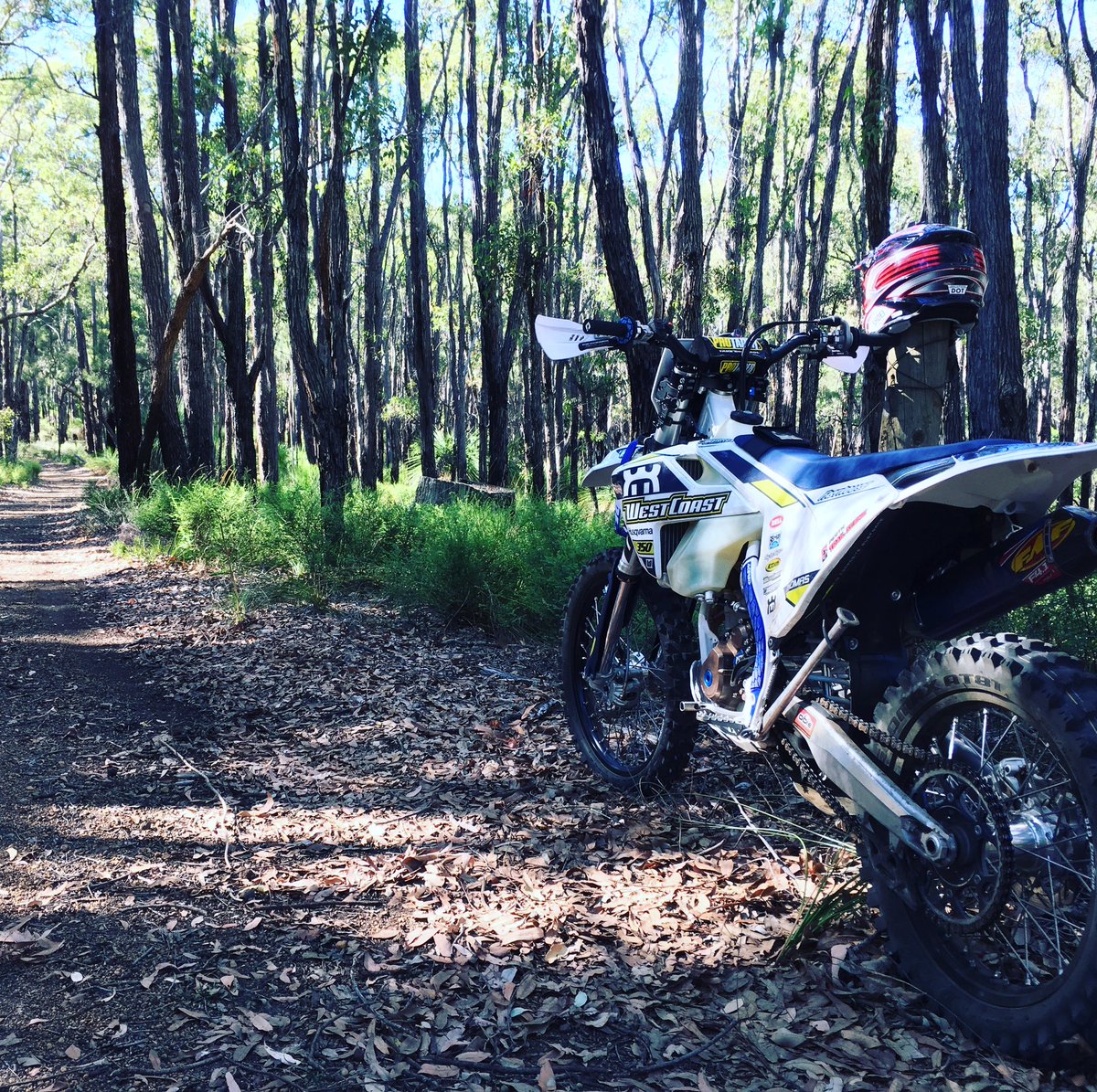 PerthTrailScene tweet media