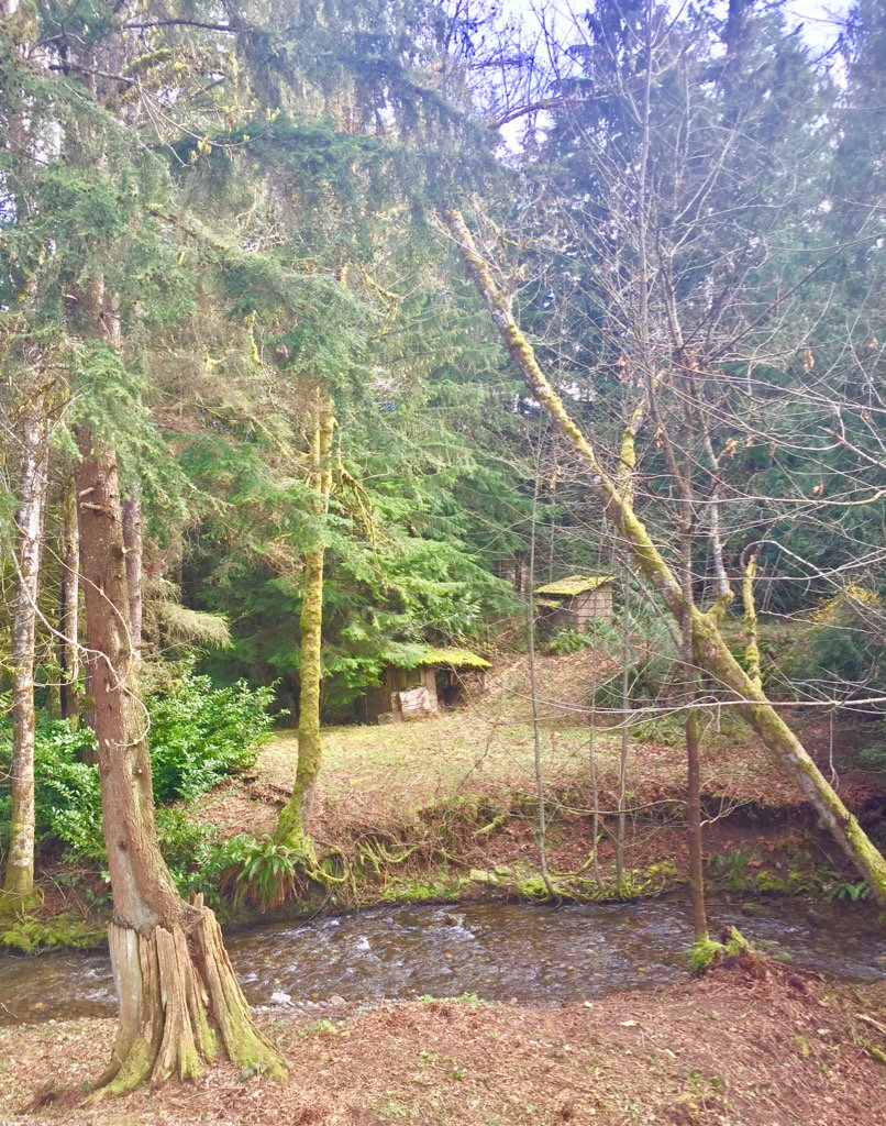 jerome12thman's tweet photo. Can't believe this is mine, truly blessed https://t.co/hsQWse5RJi