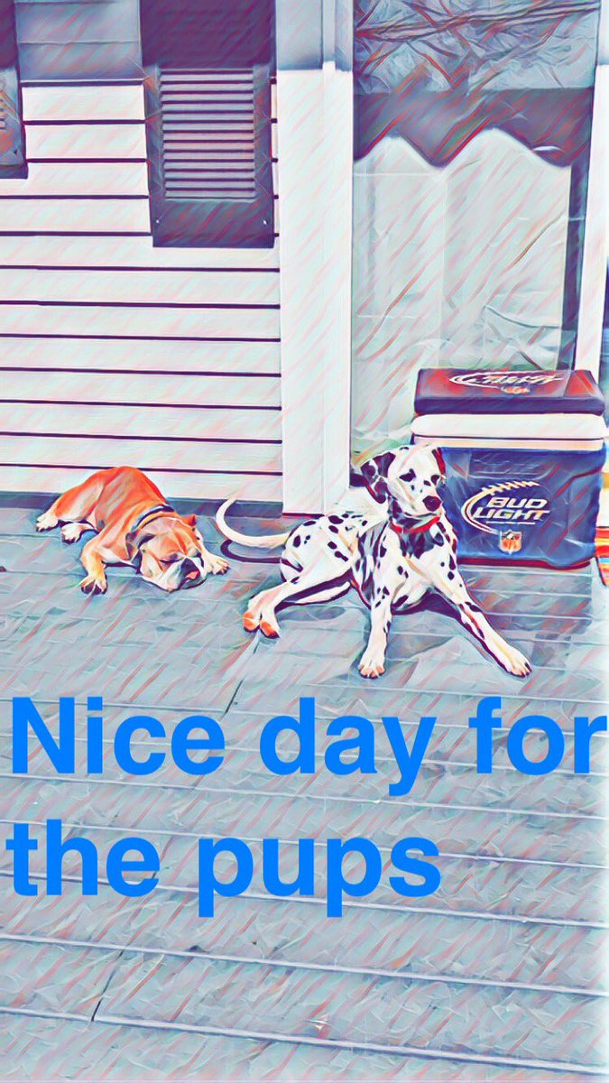 Zeekman34's tweet image. 