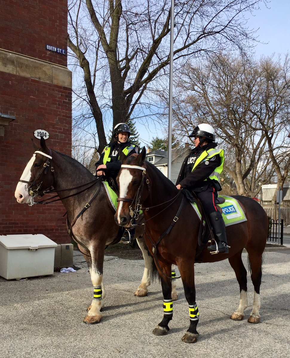 MrsDByers's tweet photo. Charger &amp; William on a Sunday tour in The Beach. Thx #tpsmountedunit for keeping us safe! @TPSOperations https://t.co/K2rc19ssxn