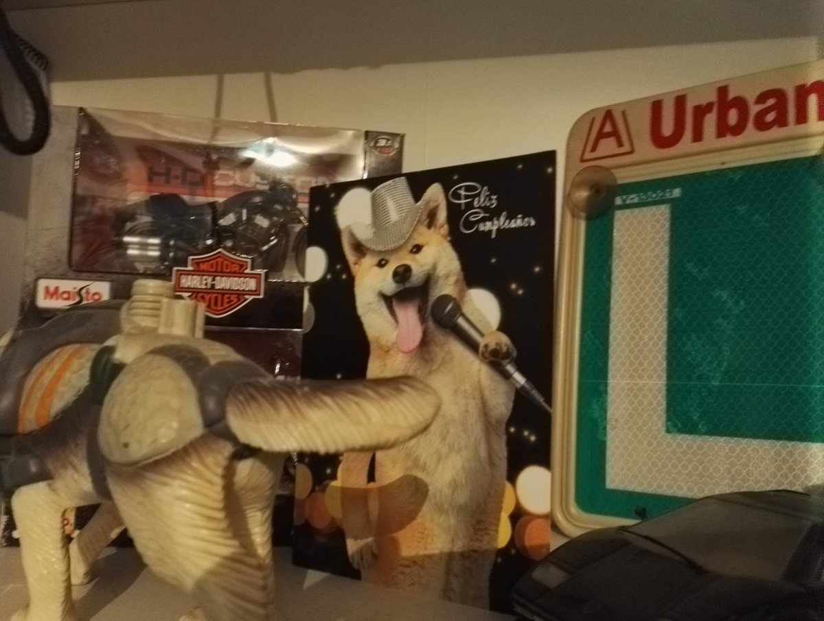 AdriDeMagala's tweet photo. MUCHISIMAS GRACIAS MISNIÑES @Albaaa_91 @Irenyka @MarifedeGracia @_maariajo94_ @Ithir_ @valyacuario @rOsaT25 @Angle_Chan @anitsir_91 @Anaitsu https://t.co/xtMY6eZh40