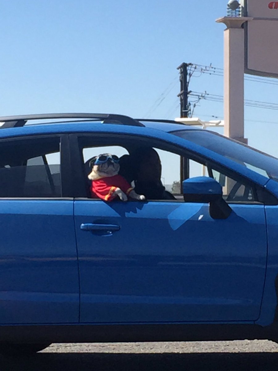 黄推福利内容 - 『S』的精彩图片 福利姬『S』分享的黄推图片3 - 网红私拍内容