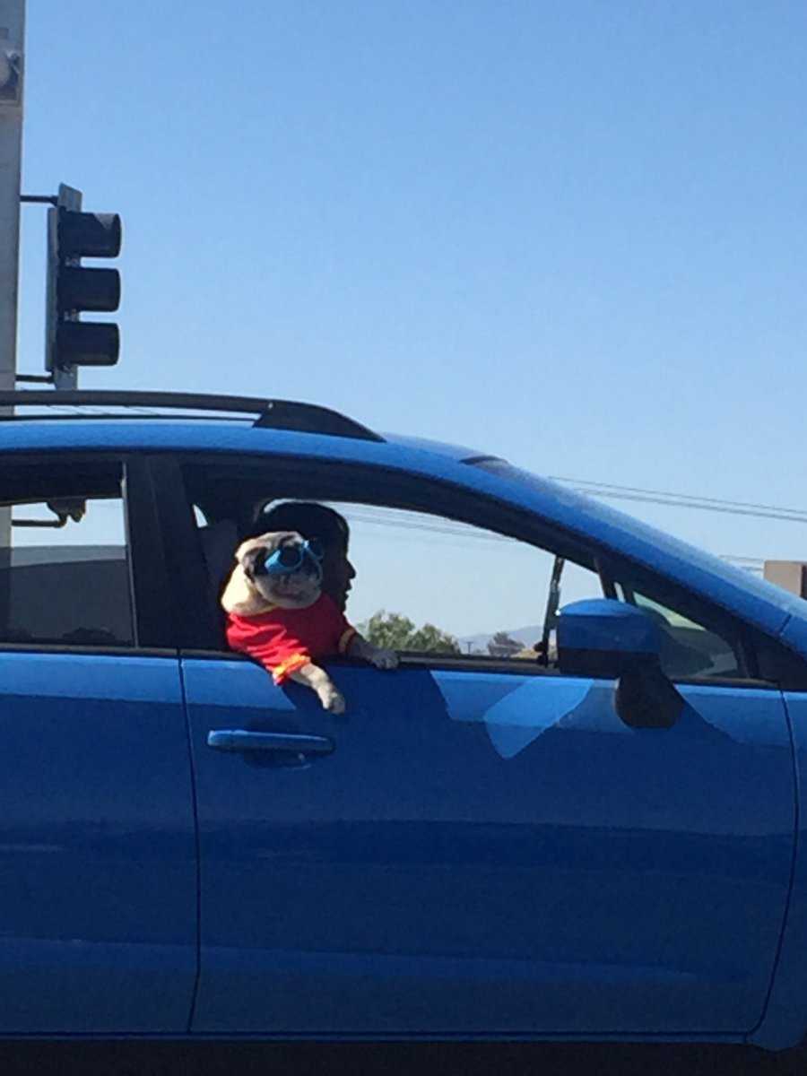 黄推福利内容 - 『S』的精彩图片 福利姬『S』分享的黄推图片2 - 网红私拍内容