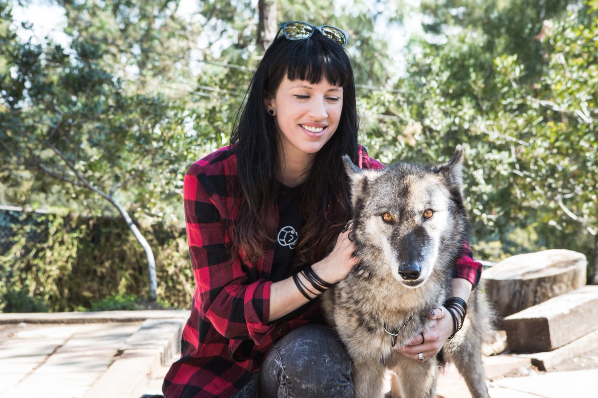 I think Tommi is my spirit animal. Perks of the job. Pinch me. Check out julesstewartproject.org to learn more! THX <a href="/RealJulesStew/">Jules Stewart</a> #wolfdog
