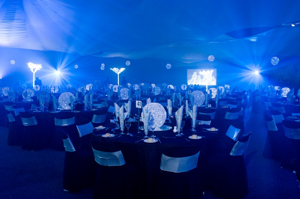 phenomenonevent's tweet image. Blue hues #winterwonderland #ledtree #lighting