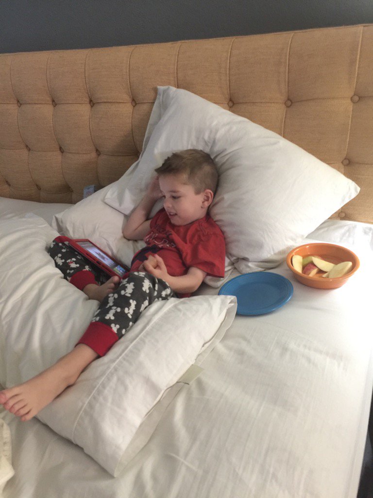 tourguide tweet media