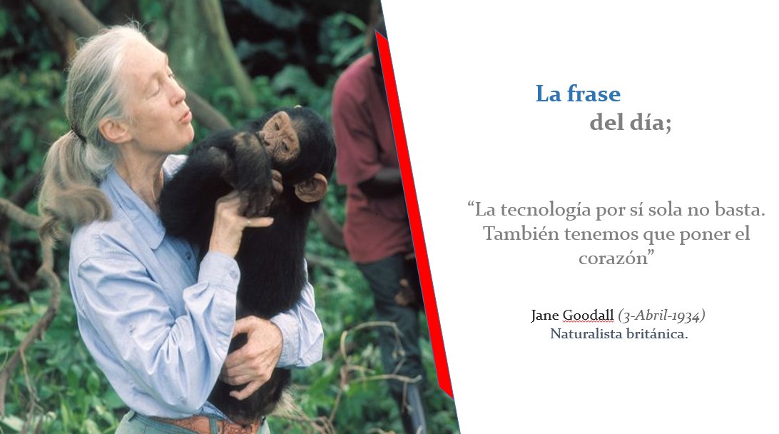 Resultado de imagen de frases de Jane Goodall