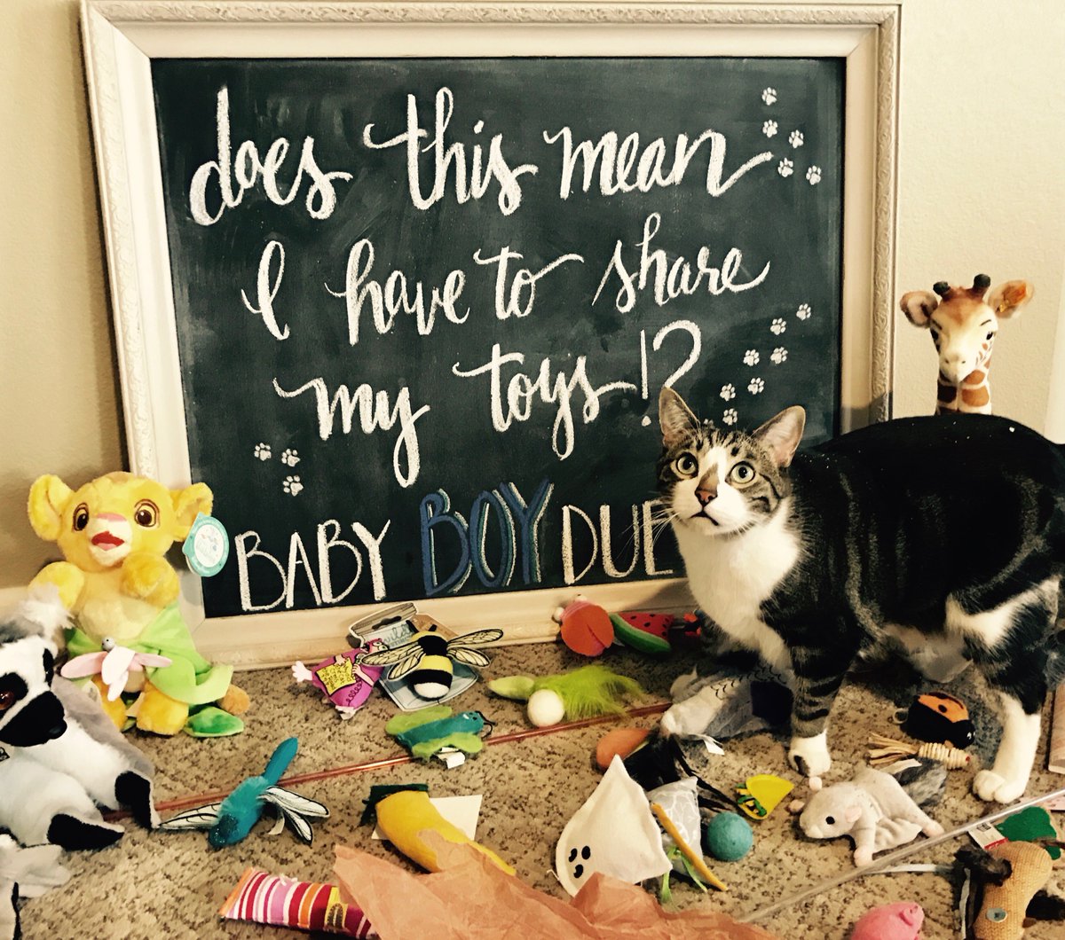 Kristen &amp; Michael are having a baby boy! The next male instructor at BP, perhaps? #BarreBaby #Caturday #TuckingForTwo