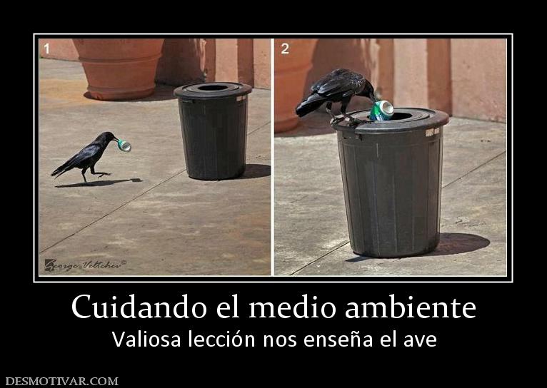 RECICLACCION tweet media