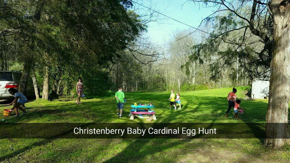 The_JennieScott's tweet photo. I ❤ed hosting the Lil Cardinal Egg Hunt for @ChristenberryCS students & our Teacher Moms!What a blast!#sundayfunday #scottfarm #EggHunt2017 https://t.co/9E96I9ydzt