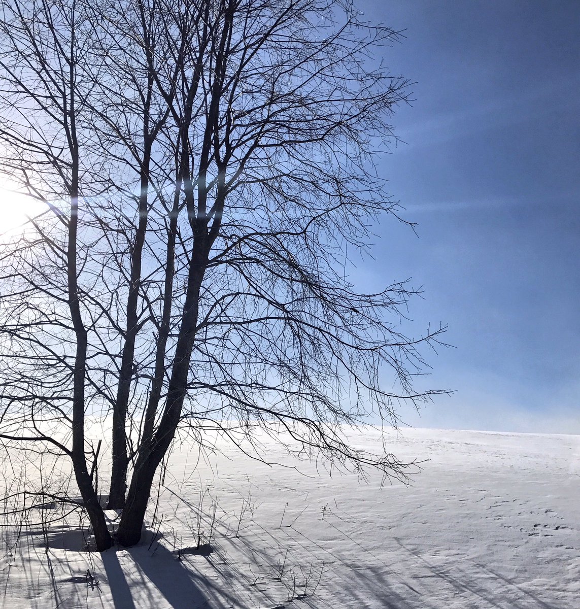 stowescenes's tweet photo. Pretty amazing Sunday here, folks!  Hope you enjoyed it. #stowevt #stowemt #Vermont #btv #vermonting #snow #ski https://t.co/OF660mUvcA