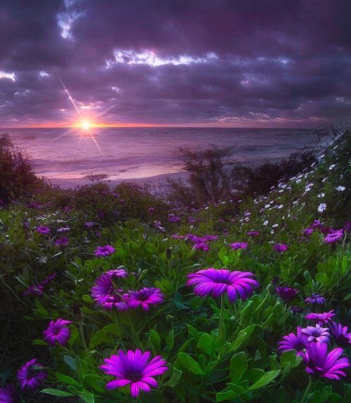 <a href="/nealhailey/">🌹nealhailey🌹</a> <a href="/ThrivingSage/">🌿🌼❤️SAGE❤️🌼🌿</a> <a href="/LoveAngelXO/">❤️🌹AngelLoveXO🌹❤️</a> @SreyLuna <a href="/Marisol2224/">Magali</a> <a href="/Cutekk24/">☆кαу Jεм §тαя☆ 🇧🇿</a> <a href="/Silvia080/">Elizabeth</a> @Anny_______0es3 <a href="/nealhailey/">🌹nealhailey🌹</a> 💜
<a href="/LoveAngelXO/">❤️🌹AngelLoveXO🌹❤️</a> 
@SreyLuna
<a href="/Marisol2224/">Magali</a>
<a href="/Cutekk24/">☆кαу Jεм §тαя☆ 🇧🇿</a> 
<a href="/Silvia080/">Elizabeth</a>
<a href="/PunkyBrightGirl/">PunkyBrightGirl</a> 
@Anny_______0es3 

💜🌿💜🌿💜🌿💜
#FOLLOW