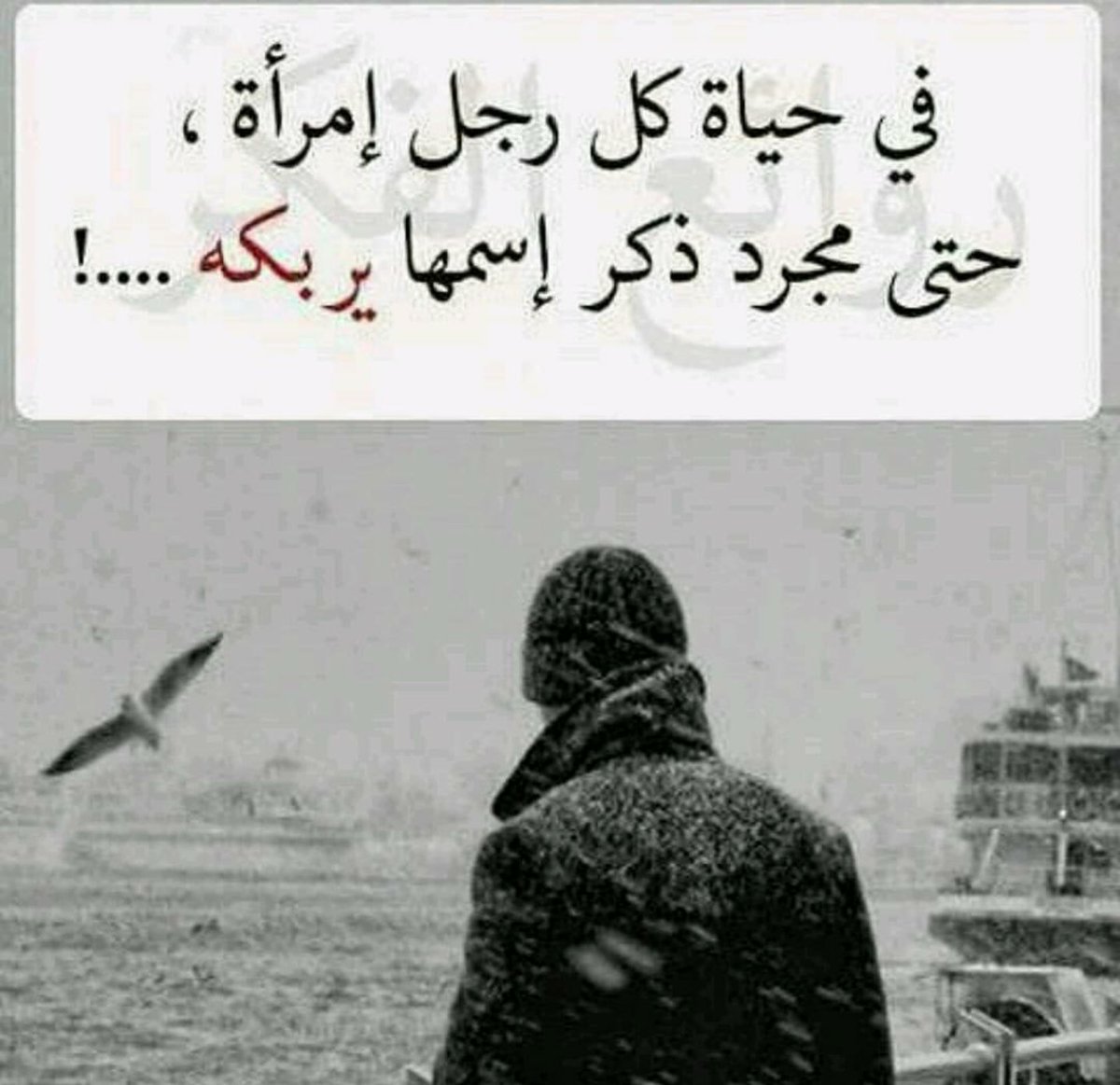 ssamooo7a1's tweet photo. #ملتقى_عتيبه_الهيلا
#قروب_الخافق_للدعم
#قروب_ابوفهد_للدعم
#قروب_الليوث_للدعم
#غلا_مجنونها_للدعم
يالله.كل واحد يقول اسم المرأه التي تربكه😂😂 https://t.co/JkCPnj7N6O