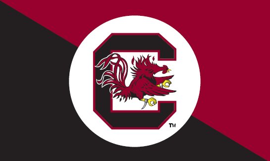henrymcmaster's tweet photo. #ForEverToThee  #NationalChampions @GamecockWBB - Let's raise the flag on the Dome tonight! https://t.co/mNoBn4u27v