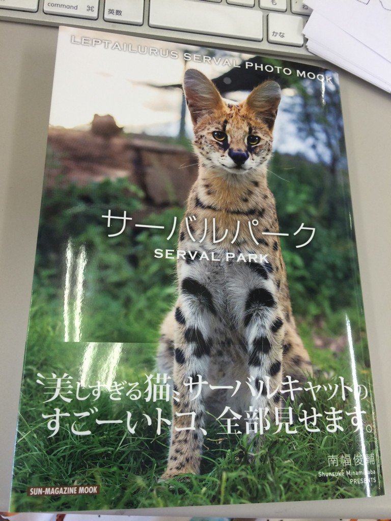 けもフレ難民必見 サーバルパーク 写真集でサーバルキャットの魅力全開 明らかに けものフレンズ ファンを狙った模様 ついラン