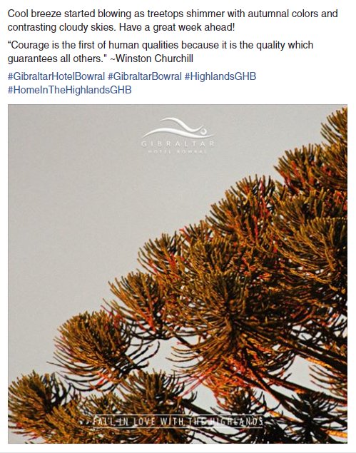 GibraltarHotel's tweet photo. Good morning!

#GibraltarHotelBowral #GibraltarBowral #HighlandsGHB #HomeInTheHighlandsGHB https://t.co/O6QT24l3wA