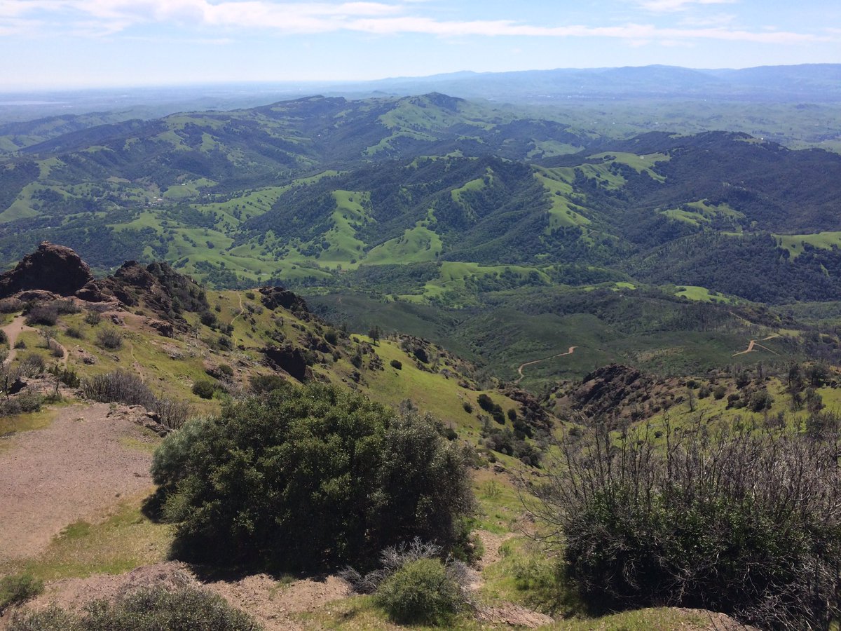 TerryLRK's tweet image. Westward view from Mt. Diablo...so green! #springincalifornia