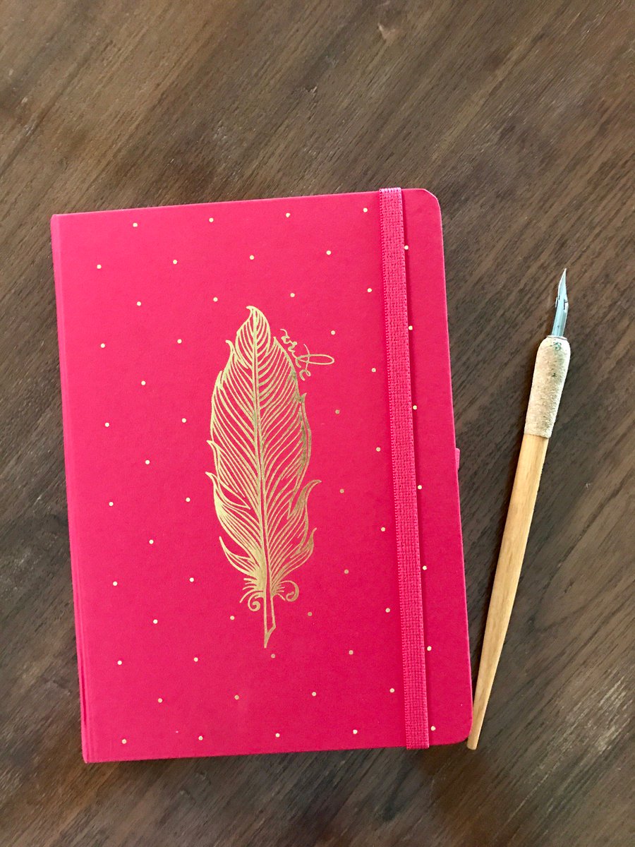 PallaviNopany's tweet photo. Hitting retail stores in 2 weeks! Diaries designed for @MatrikasPaper
#diary #goldfoil #creative #packof2 #hotpink #adultcoloringbooks https://t.co/1REOh6pa33