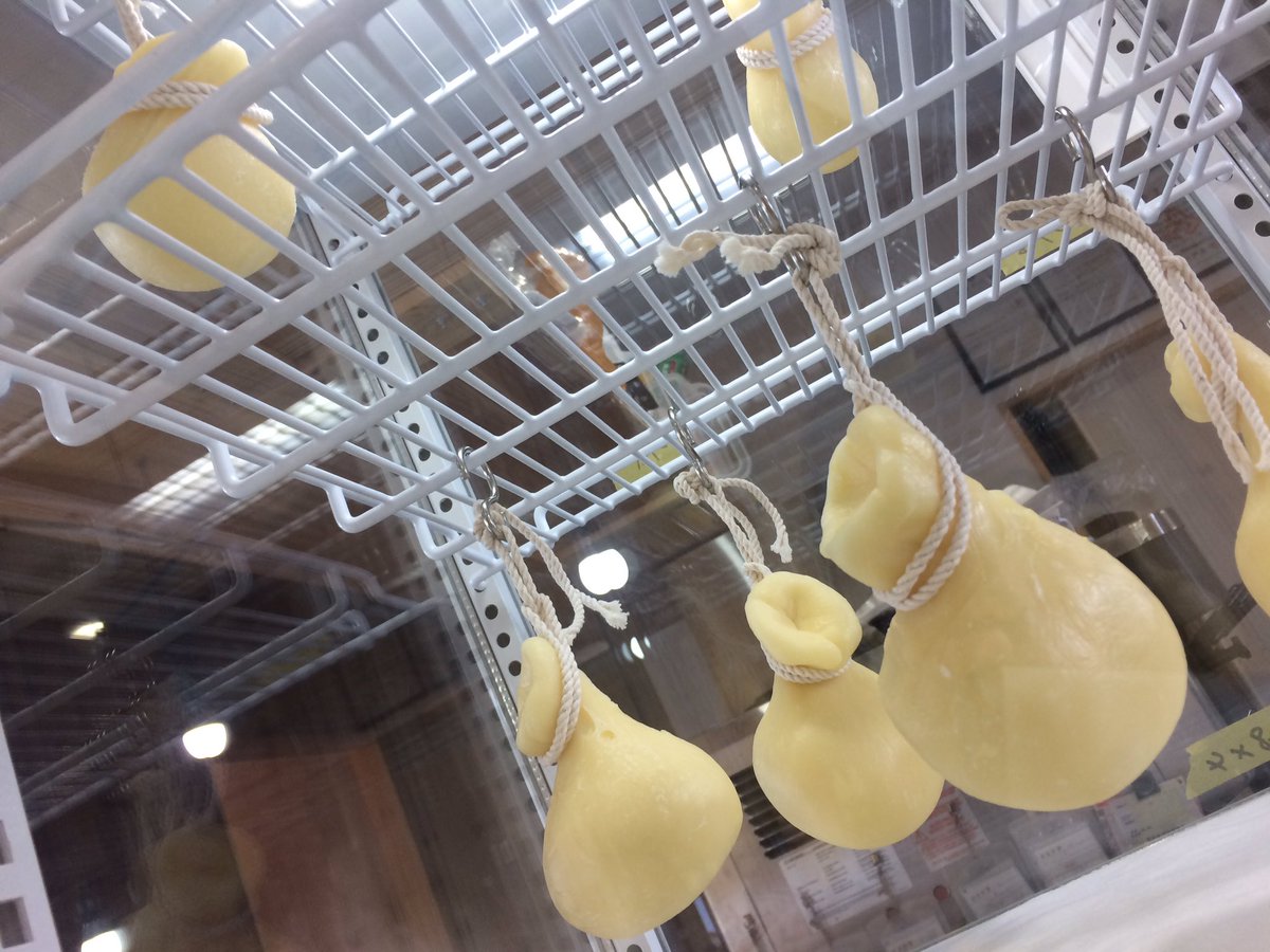 Chestar_House's tweet photo. 問合せが多かったカチョカバロが、ついに生産販売の運びを迎えましたー
熟成期間を含め第一弾の販売は3月19日(水)です！
ご予約承りまっす！ https://t.co/KTJeo7QpCQ