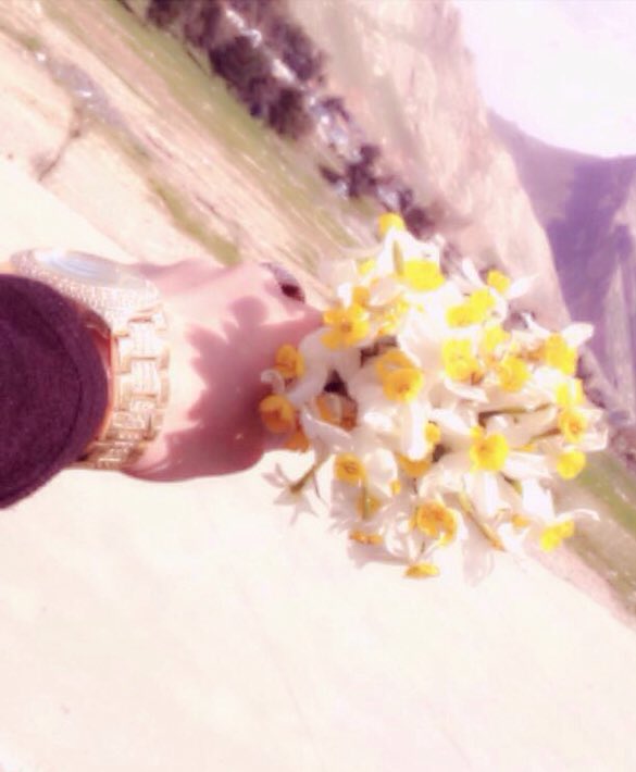 Lara63529623's tweet photo. 🌸🍂سبحان الله والحمد لله والله أكبر لا إله إلا الله وحده لا شريك له له الملك وله الحمد وهو على كل شيء قدير🍁🌷 https://t.co/GSknZSV8Sw
