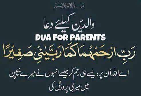 hooraib's tweet photo. #ماں باپ کا ہاتھ تھامے رہیں.. تو🌷🌻

 #دنیا کہ پاؤں پڑنے کی ضرورت نہیں رہےگی🌻

 #السلام علیکم🌲

 #صبح بخیر⚘ 

#زندگی 🌹 https://t.co/zOOapAJ6vk