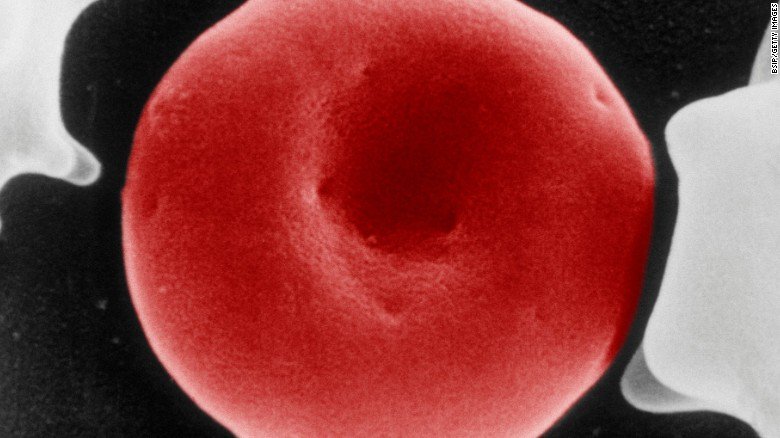 CNN's tweet image. Scientists have long hoped to make red blood cells in labs. Could stem cells help create an endless supply of blood? cnn.it/2oyByY1