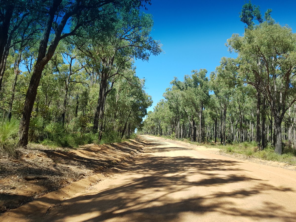 asonenyitting's tweet photo. Another week @KadadjinBoodjaBidi Pickup students from Narrogin, Northam and Perth. No road we can't drive :) https://t.co/7UUOYyIjqT