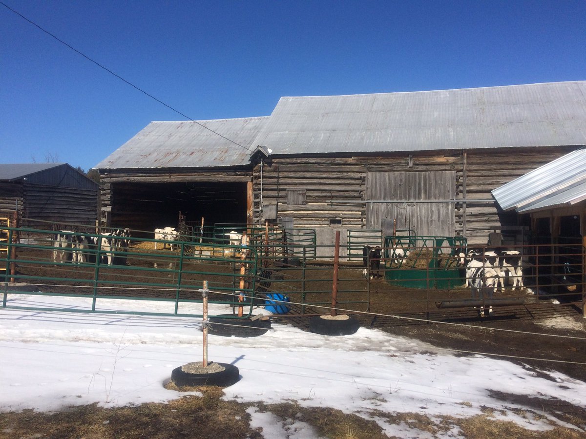AmandaOConnell5's tweet photo. The #beef farm has been taken over by team #dairy until the heifer barn renos are done #construction #robot3 #farmkids https://t.co/nLA6qg5jkB