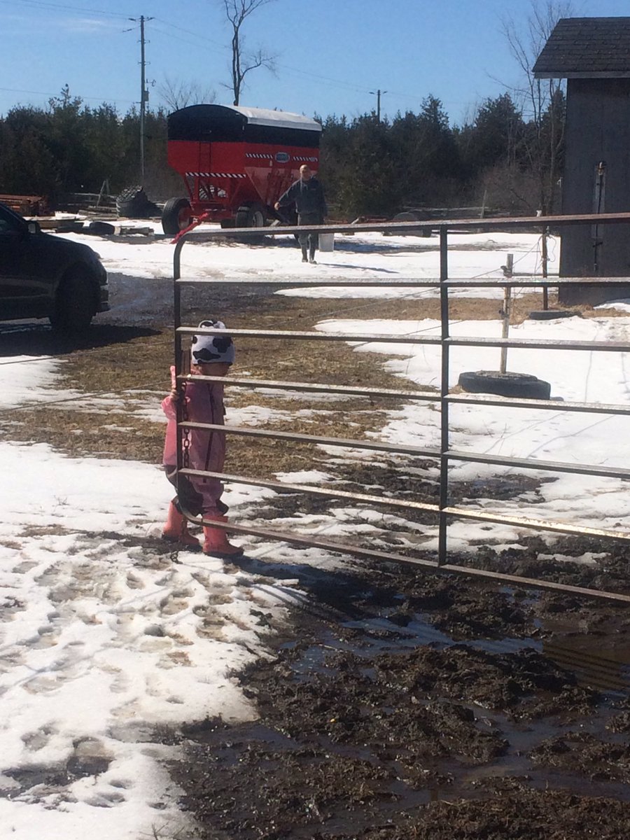 AmandaOConnell5's tweet photo. The #beef farm has been taken over by team #dairy until the heifer barn renos are done #construction #robot3 #farmkids https://t.co/nLA6qg5jkB