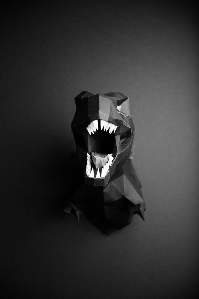 Tourtraits tweet media