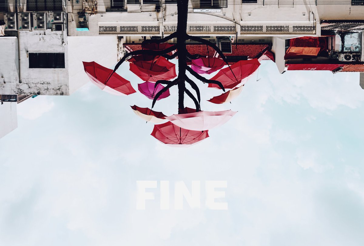 EradioGomez's tweet photo. felt like making something today https://t.co/GYvYNxQqPB
