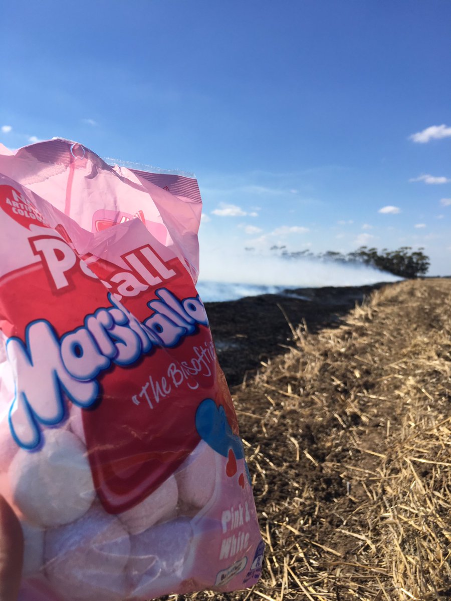 fry_anna32's tweet photo. Priorities 👊🏼 #burningoff #fire #thankannaforyournextmarshmallow https://t.co/BvqRPwdfXo