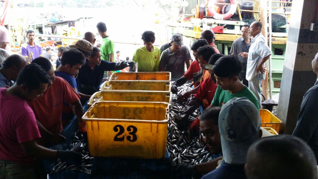 LKIMGANU's tweet photo. Kompleks  #LKIM Pulau Kambing 
selayang 8 
kembong 13
selar kuning 5
sotong A 24
sotong B 20
aya kurik 7
aya hitam 9
@LKIM_HQ @LKIMHQ https://t.co/HnYajfXAn6