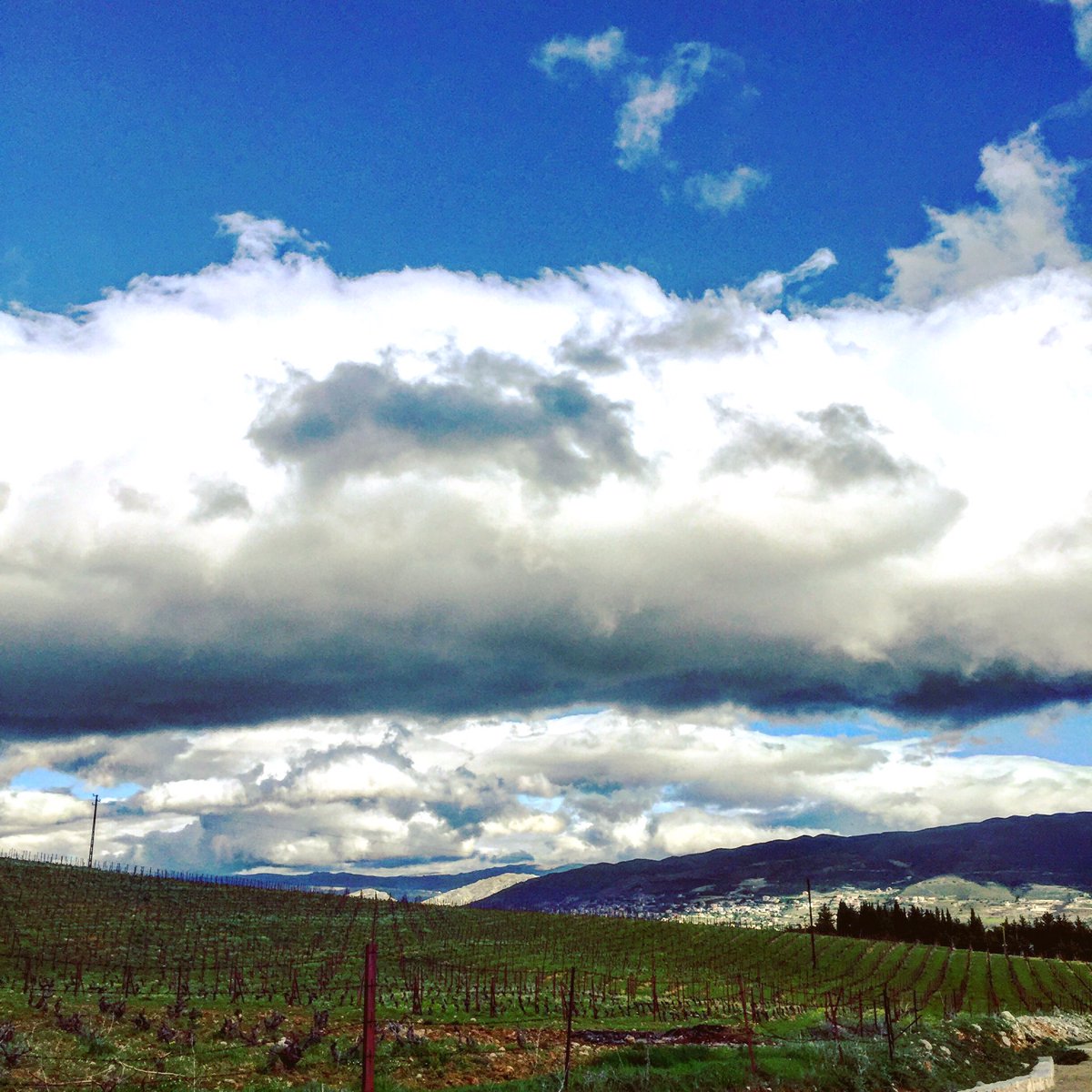 nidalachkar's tweet photo. #sky #clouds #green_fields #beqaa #beautiful_scenery #lebanon🇱🇧 https://t.co/BzowH09Lwx