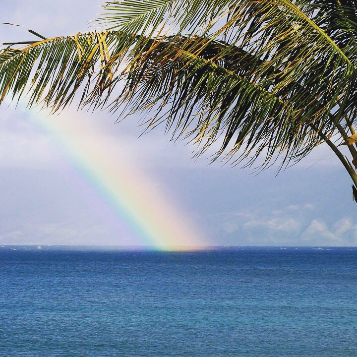 ProactiveNutra's tweet photo. Go out. Exercise. Find a Rainbow #ProActiveNutra #nationalfindarainbowday #rainbow #health #fitness #wellness #strong #exercise #getfit #run https://t.co/VXcryGU5AG