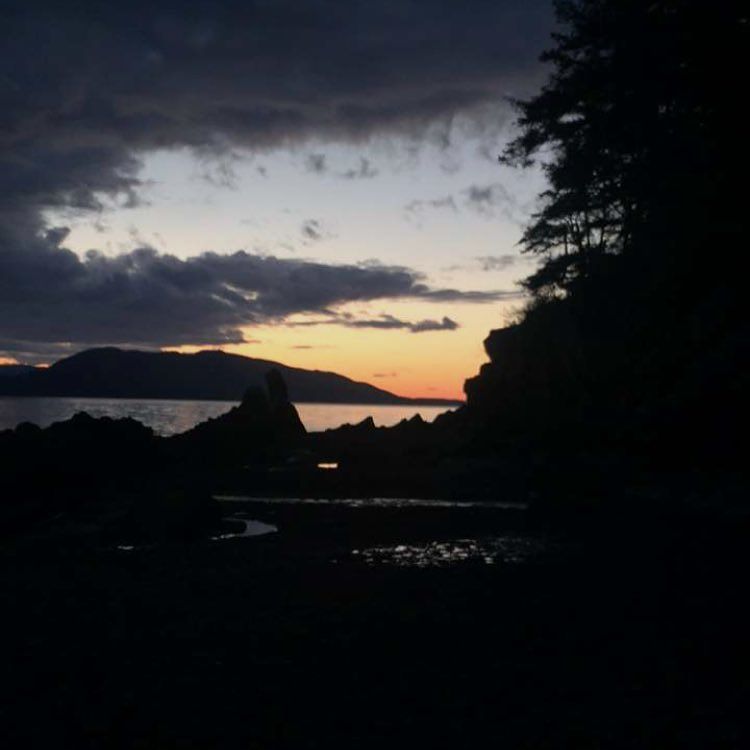 Lizzi_Mo's tweet photo. That last patch of sunshine ☺️#claytonbeach #sunset #pnw #bellingham #larabeestatepark https://t.co/JlmUSiFYUP https://t.co/6YrmVggw5z