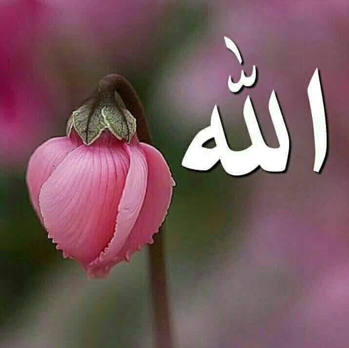 Alaa17389597's tweet photo. https://t.co/86hAfE5QWg